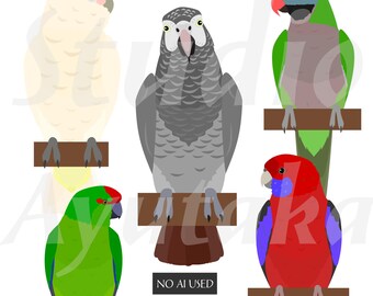 5 pet parrots illustration bundle, png, eps, pdf
