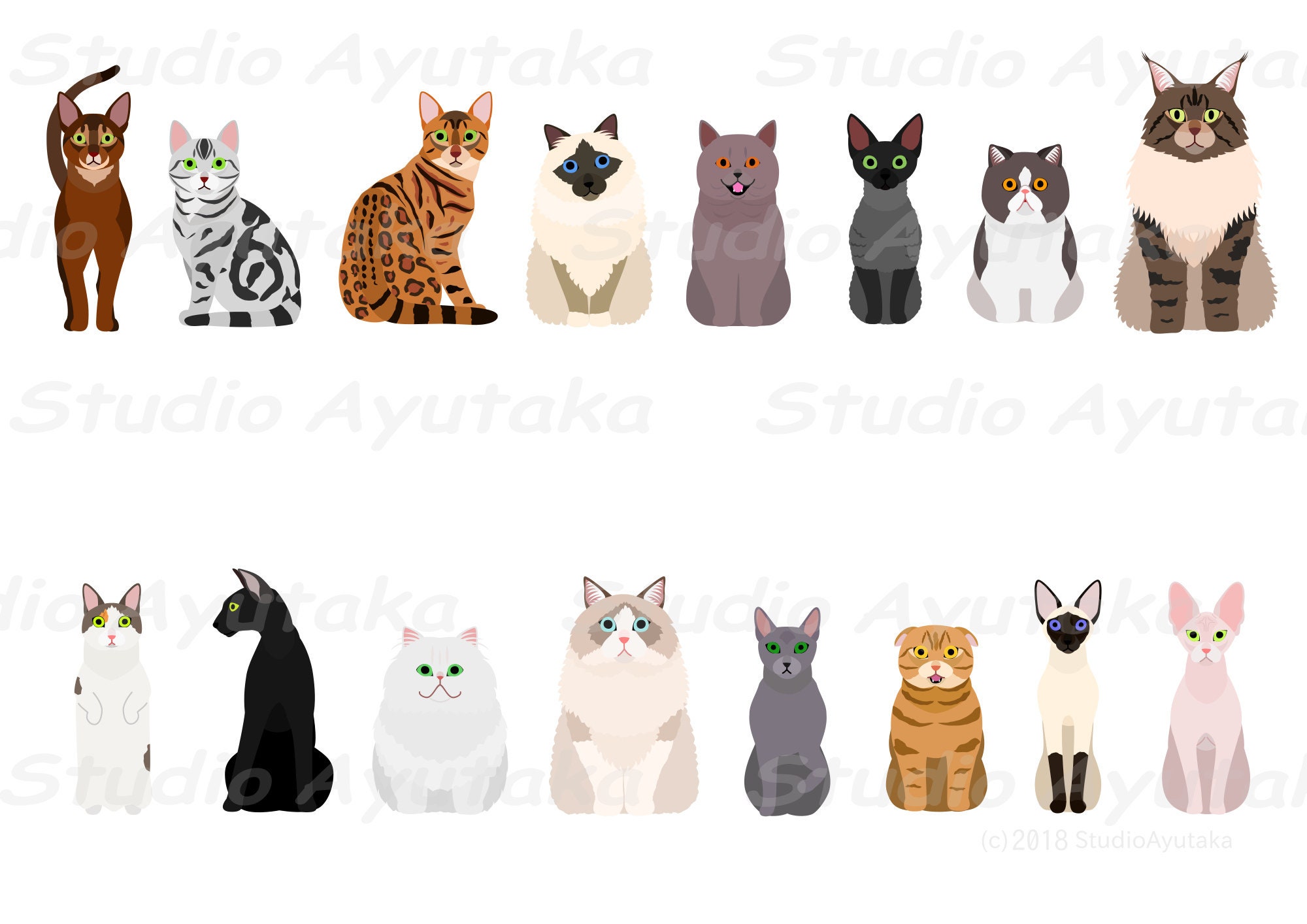 cats breeds , svg, png, jpg, 16*20