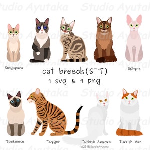 cat breeds(S~T), svg, png, illustration, digital drawing, handmade