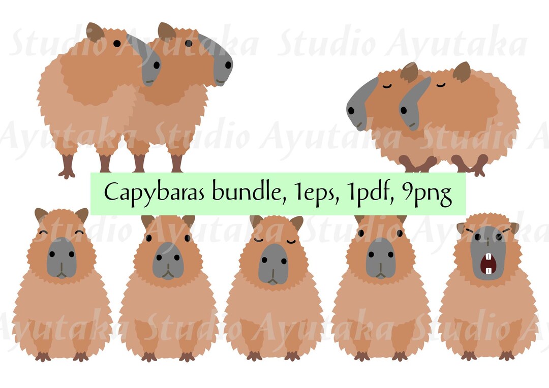 Capybara Bundle, Illustration, Digital Drawing, Handmade - Etsy