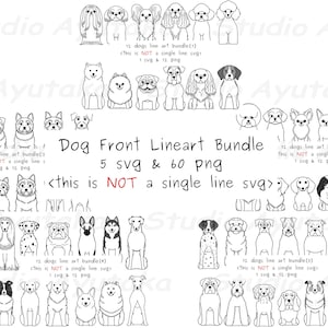 60 dogs front lineart big bundle, , png, illustration, digital drawing, handmade