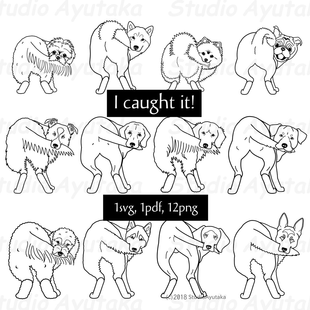 Dog Chewing His Tail Line Art Bundle, Svg, Pdf, Png Etsy