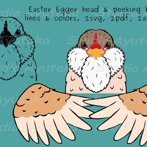 Easter egger chicken peeking and head bundle, line art, with and without colors, svg, png, ai, pdf, illustration, digital drawing, handmade