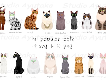 16 popular cats bundle, svg, png, illustration, digital drawing, handmade