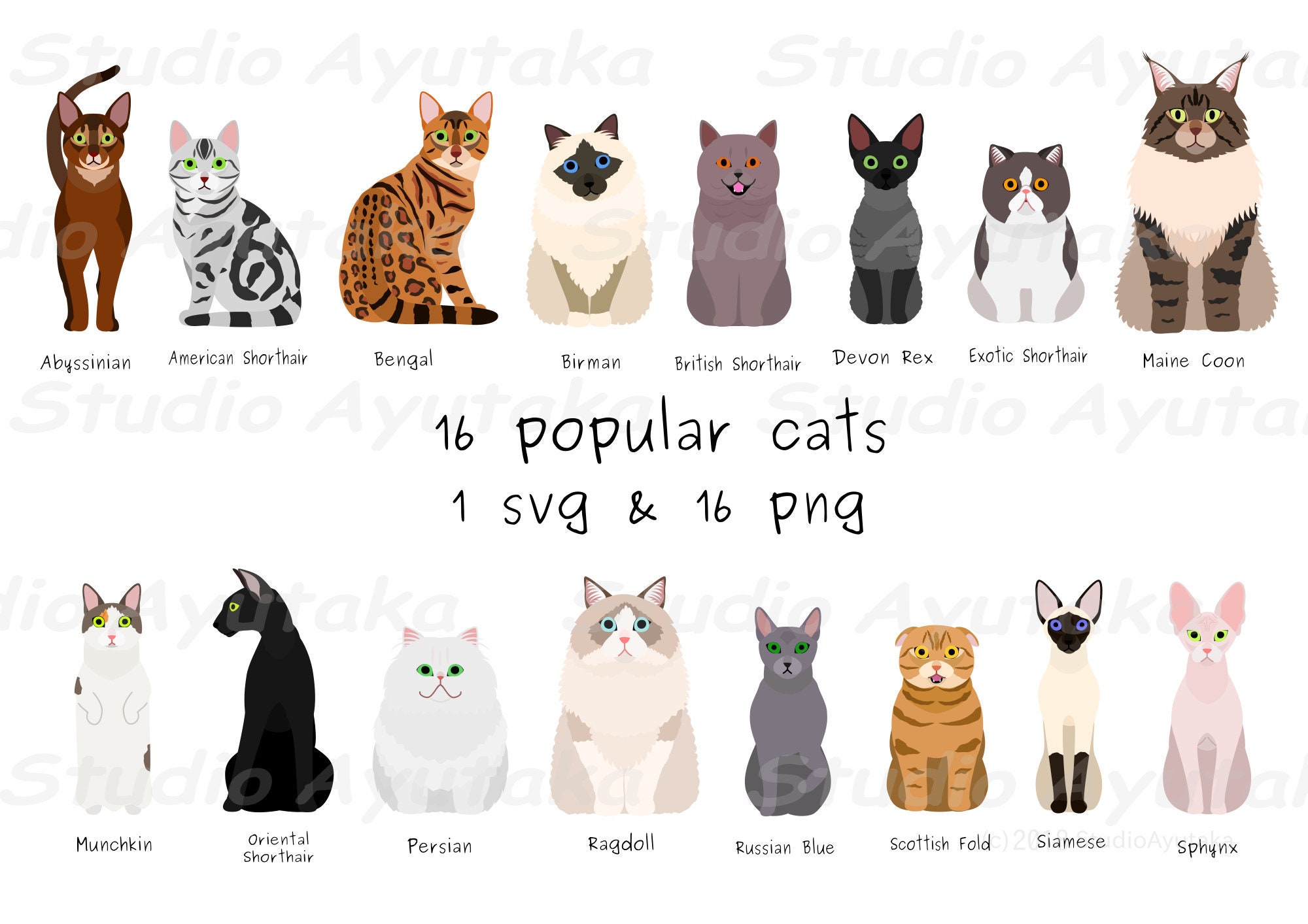 49 breeds of cats chart, svg, jpg, png, 16*20