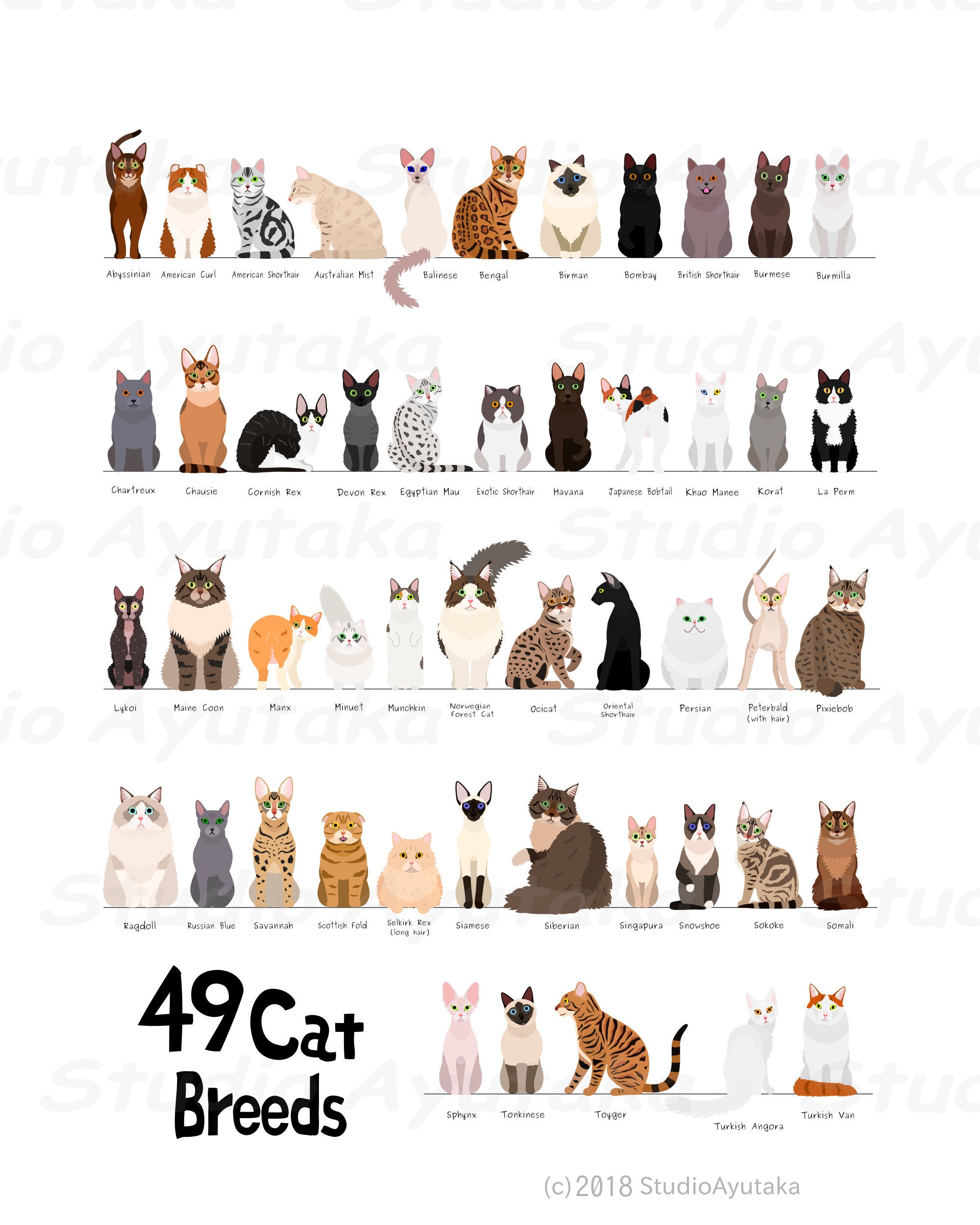 Cat Meaning Chart