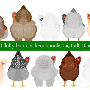 Fluffy butt chickens bundle, 1ai, 1pdf, 10png