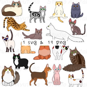 18doodle cats set, with colors, svg, png, illustration, digital drawing, handmade