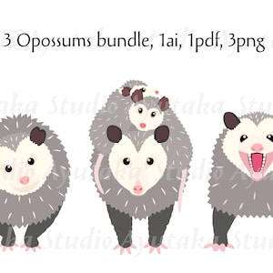 3 bundle Opossum drôle, 1ai, 1pdf, 3png, illustration, dessin numérique, fait main