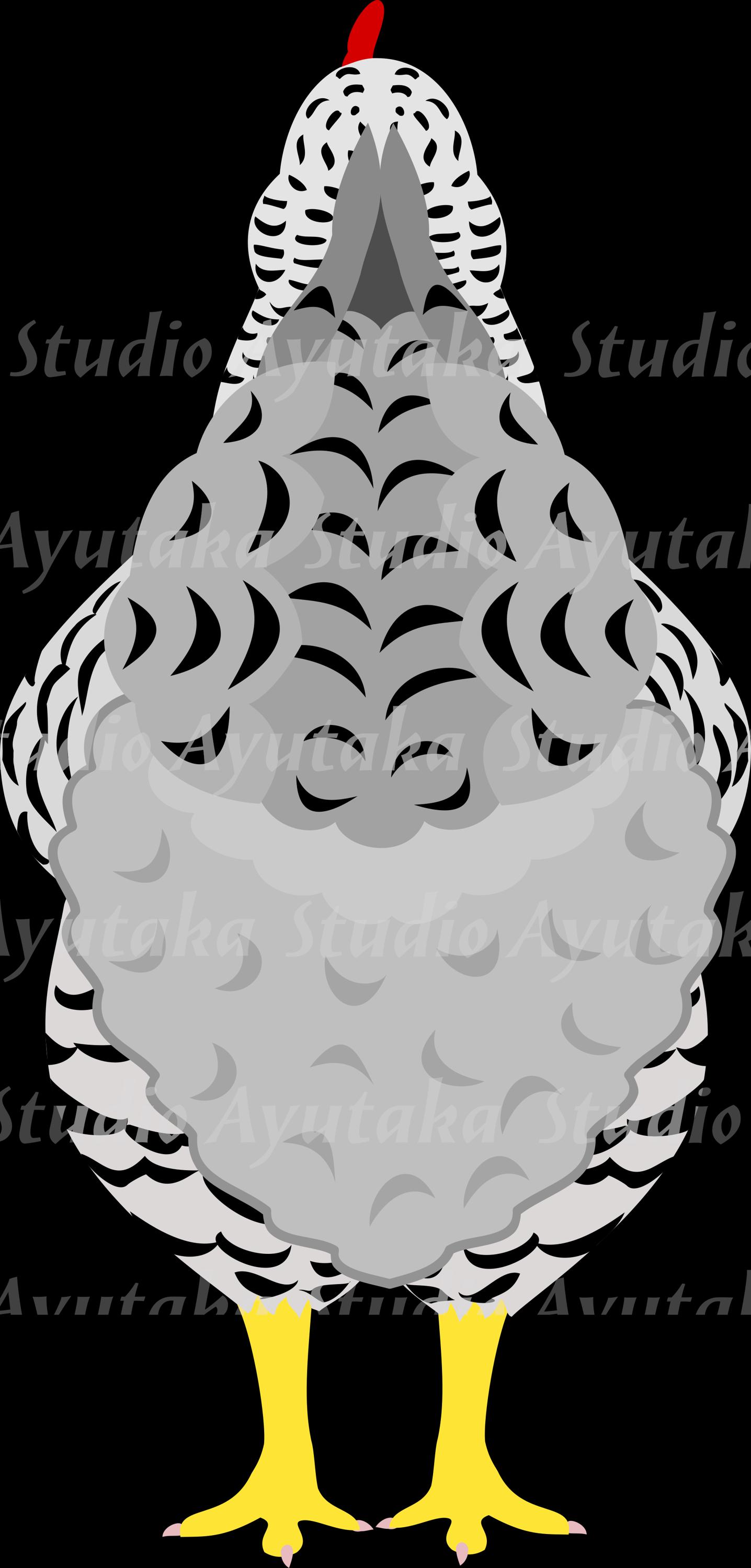 Chickens From Behind, 1ai, 1pdf, 10png - Etsy