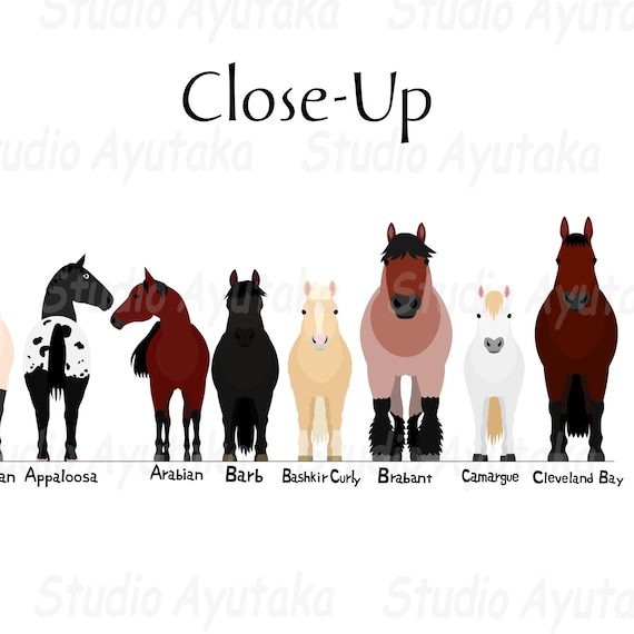 Zaino In Carta Laminata 310 Gr Online - Foto 9