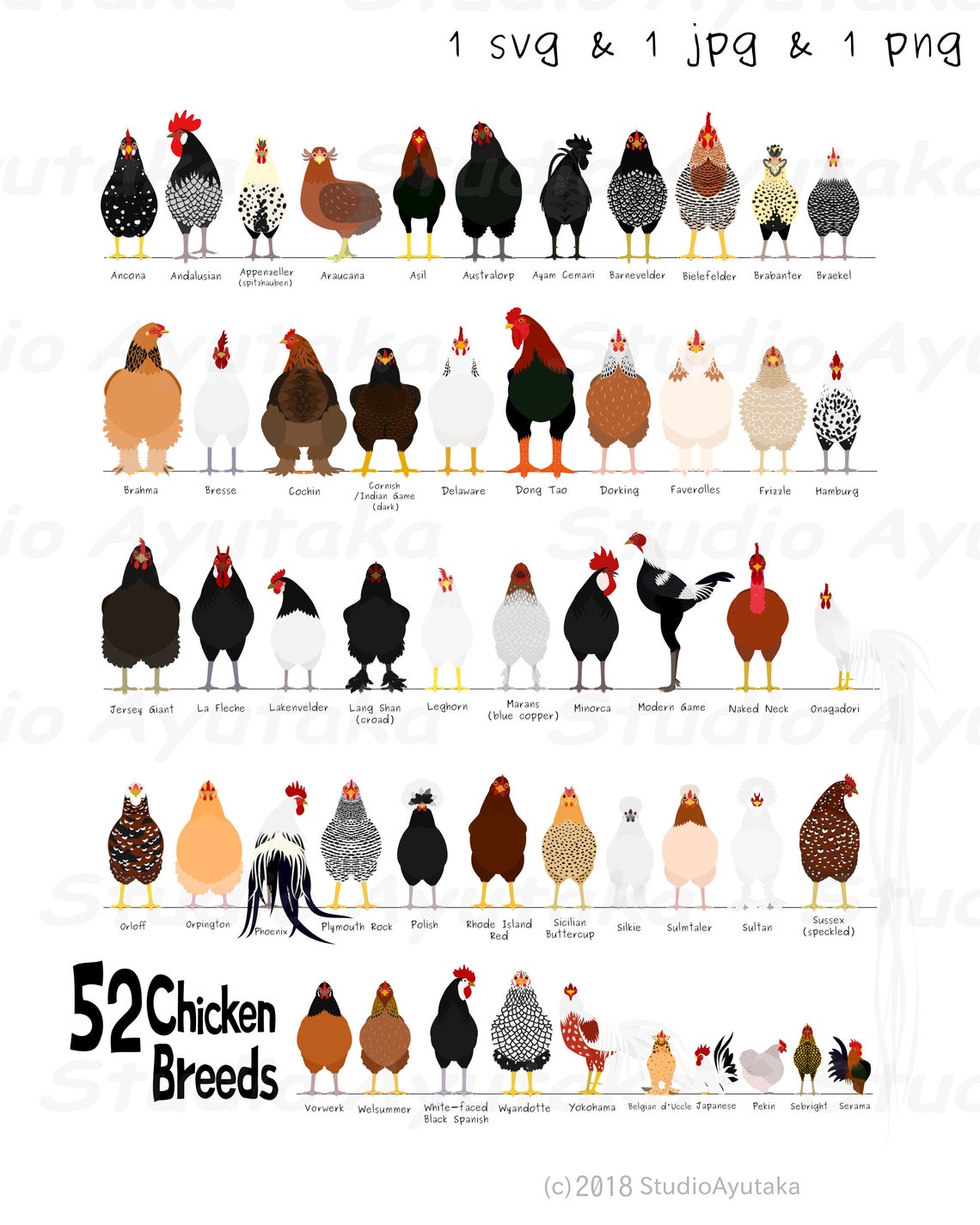52 Breeds Of Chicken Chart Svg Jpg Png 1620 Etsy UK 52 Breeds Of Chicken Chart Svg Jpg Png 1620 Etsy UK