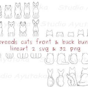 16 breeds cats from front & behind lineart bundle, svg, png, illustration, digital drawing, handmade