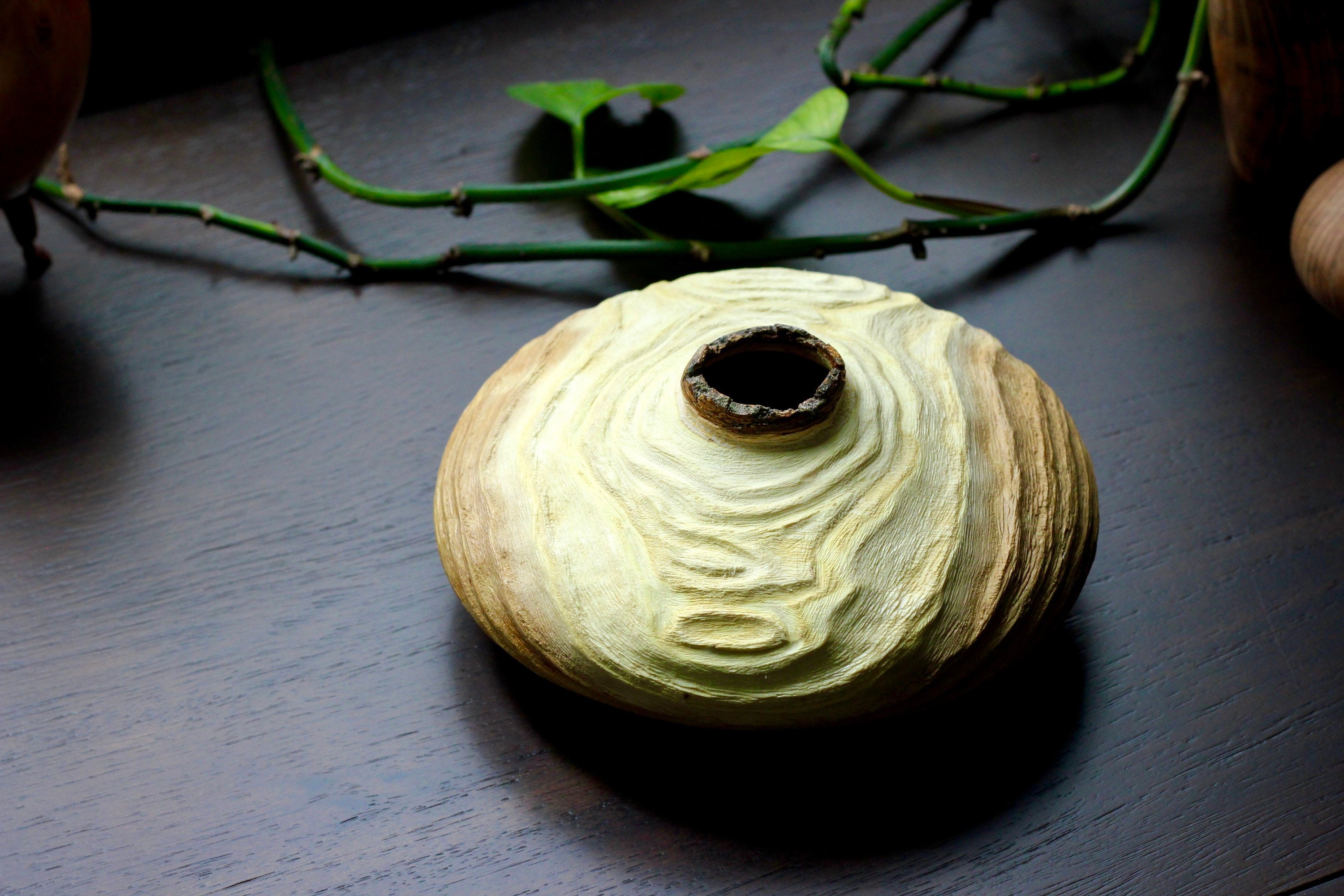 Honey Locust Wood Live Edge Hollow Form Carved and Textured - Etsy