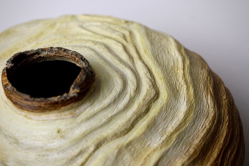 Honey Locust Wood Live Edge Hollow Form Carved and Textured - Etsy