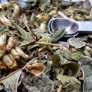 Organic Mexican Dream Herb~Calea Zacatechichi Tea ~Lucid Dream~ Organic~Astral Travel~Fresh Dried~Relaxation
