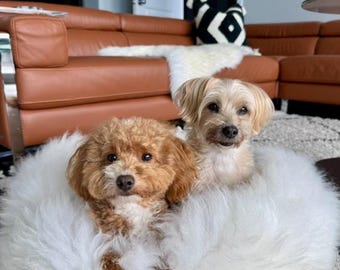 Genuine sheepskin dog bed, sheepskin pet bed,  Soft bed for dogs and cats, White Fur pet bed, Cute dog bed, Extra Soft Animal bed