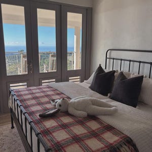 May include: A black metal bed frame with a white textured duvet, two dark gray square pillows, and a cream-colored throw blanket featuring a red and dark green plaid pattern. A white plush rabbit toy lies on the bed, which is positioned near glass doors.