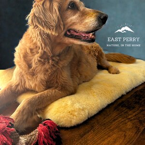 Large Sheepskin Dog Bed, Woolen Dog Bed Mat, Sheepskin dog bed, minimalistic! Pet furniture, pet couch! Dog Lover Gift, Soft Pet Sofa Bed
