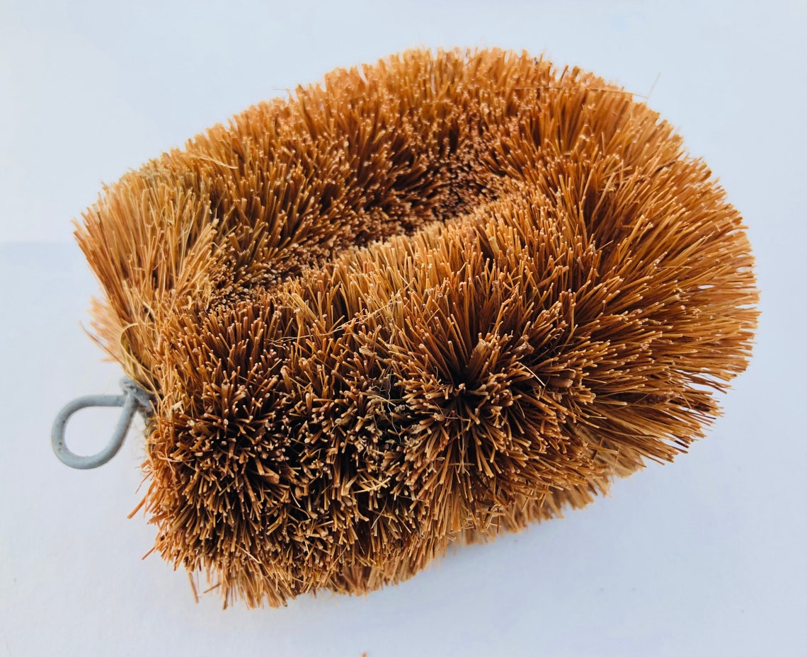 Coconut Brush EcoFriendly Brush Natural Brush Cleaning Etsy