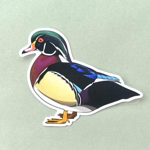 Wood Duck Vinyl Sticker 3&quot;x2.5&quot;