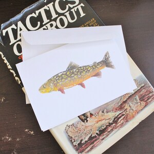 Biglietto di auguri o biglietto di auguri con trota tigre 4X6