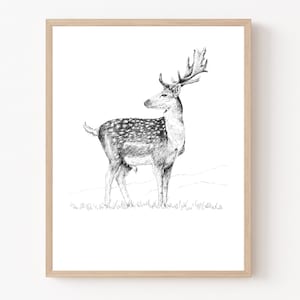 May include: A framed black and white pen and ink drawing of a deer with large antlers. The deer has a spotted coat and is standing in a grassy field. The artwork is displayed in a light wood frame.