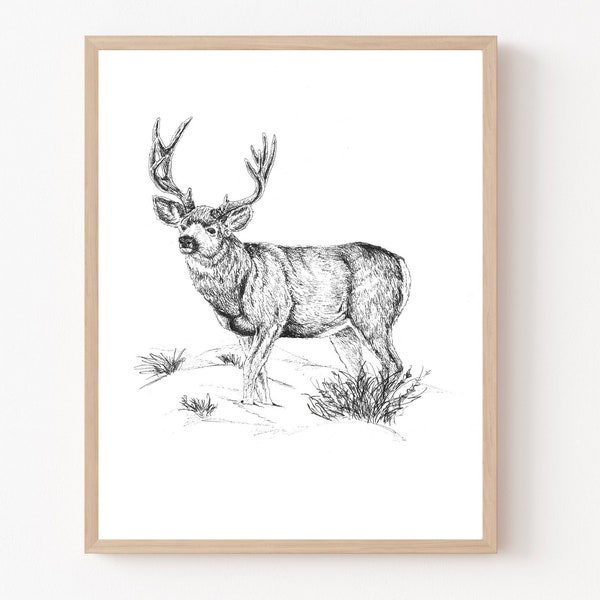 Mule Deer in Ink Print