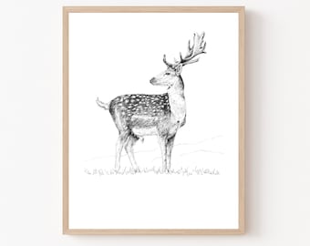 May include: A framed black and white pen and ink drawing of a deer with large antlers. The deer has a spotted coat and is standing in a grassy field. The artwork is displayed in a light wood frame.