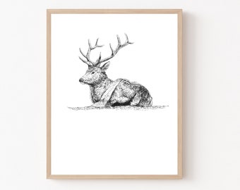 Sitting Elk in Ink Print