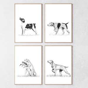 May include: Four framed art prints featuring pen and ink illustrations of dogs. The dogs are depicted in various poses, including standing, running, and sitting in a grassy field. The prints are in neutral tones, with a focus on the dogs' features.