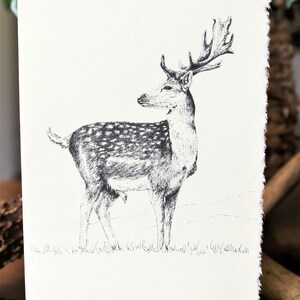 4 x 6 damhert Notitiekaart of wenskaart