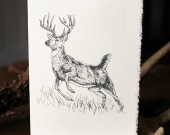 Biglietto di auguri o biglietto di auguri con cervo dalla coda bianca 4x6