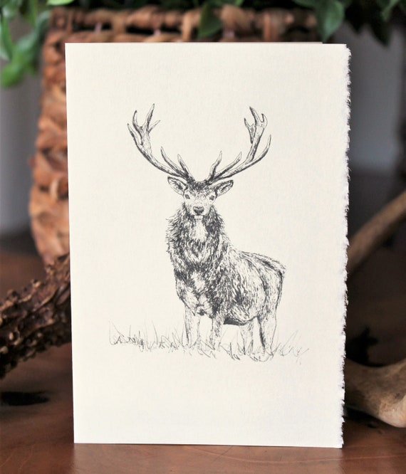 Red Stag Note Card Red Stag Note Card