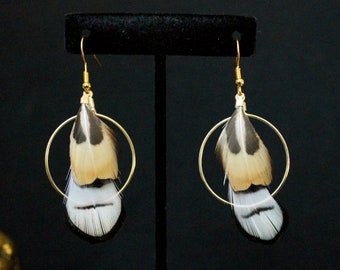 Genuine Pheasant Feather Earrings: Tan, White and Black