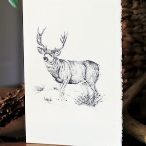 Notitiekaart of wenskaart van 4 x 6 muilezelherten