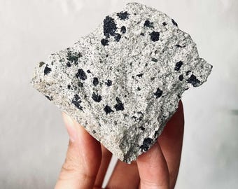 Raw Dalmatian Jasper Free Form, Natural Rough Dalmatian Jasper Crystal, Home Decor Crystals, Metaphysical Stones