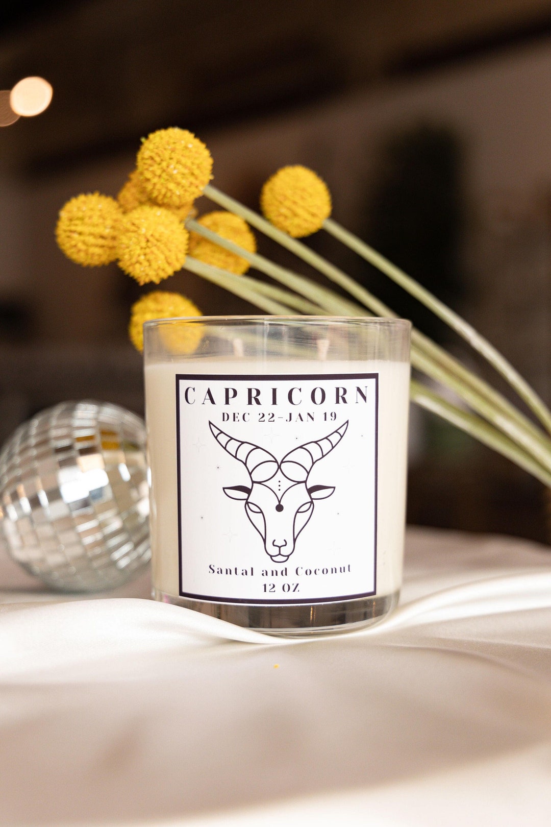 Capricorn Zodiac Sign Hidden Crystal Candle 12 Oz Intentional - Etsy