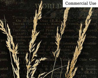 Grass Graphic Etsy