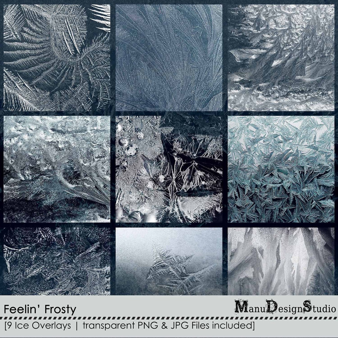 Frosty Ice Flower Overlays, Winter Digital Scrapbook Frost Overlays ...