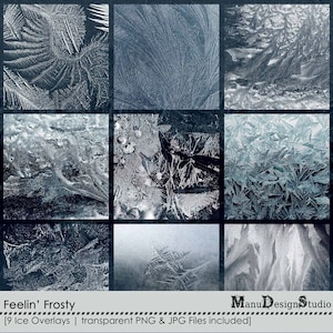 Frosty Ice Flower Overlays, Winter Digital Scrapbook Frost Overlays, Memory Keeping,