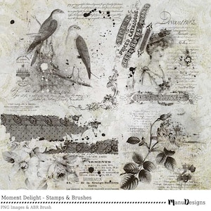 Photoshop Brushes, digitale Scrapbooking, digitale postzegels, digitale borstels, Scrapbook, stempels, Shabby stempels, Clipart, Floral Penselen, abr, png