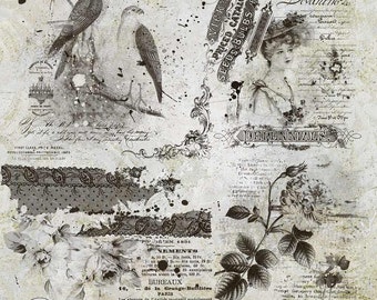 Photoshop Brushes, Digital Scrapbooking, Digital Stamps, Digital Brushes, Scrapbook Stamps, Shabby Stamps, Clipart, Floral Brushes, abr, png