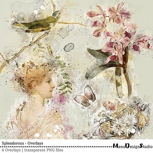 Superpositions numériques splendides et vintage, superpositions de scrapbooking, superpositions transparentes, graphiques numériques, superpositions png, téléchargements numériques