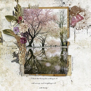 May include: A vintage-style image with a quote by Frances Moore Lappe: "I think that luxury has nothing to do with money, and everything to do with beauty." The image features a photograph of a pond reflecting a row of trees with pink blossoms. The image is surrounded by a decorative border with flowers and leaves.