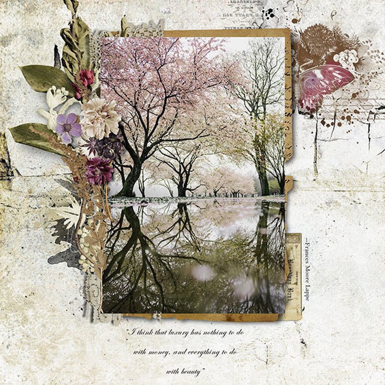 May include: A vintage-style image with a quote by Frances Moore Lappe: "I think that luxury has nothing to do with money, and everything to do with beauty." The image features a photograph of a pond reflecting a row of trees with pink blossoms. The image is surrounded by a decorative border with flowers and leaves.