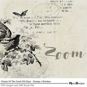 Puede incluir: Una ilustraci&oacute;n vintage en blanco y negro de un p&aacute;jaro posado en una rama con espinas y flores. La imagen tiene un fondo texturizado y descolorido con la palabra "Zoom" escrita en cursiva. El texto "Charm Of The Good Old Days - Stamps / Brushes" est&aacute; en la parte inferior de la imagen.