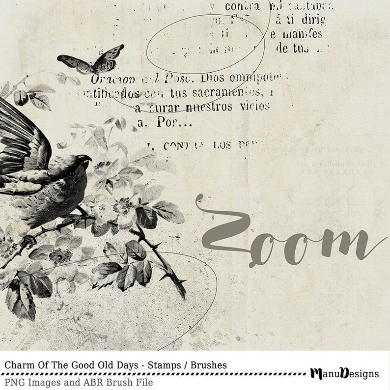Puede incluir: Una ilustraci&oacute;n vintage en blanco y negro de un p&aacute;jaro posado en una rama con espinas y flores. La imagen tiene un fondo texturizado y descolorido con la palabra "Zoom" escrita en cursiva. El texto "Charm Of The Good Old Days - Stamps / Brushes" est&aacute; en la parte inferior de la imagen.