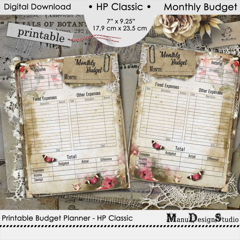 Monthly Budget Planner Printable Happy Planner Classic, Finance Tracker image 2