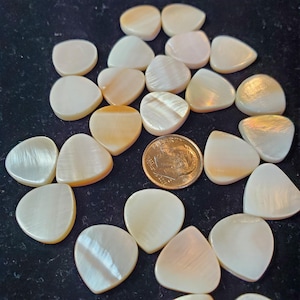 Schelpkralen in de vorm van plectrums